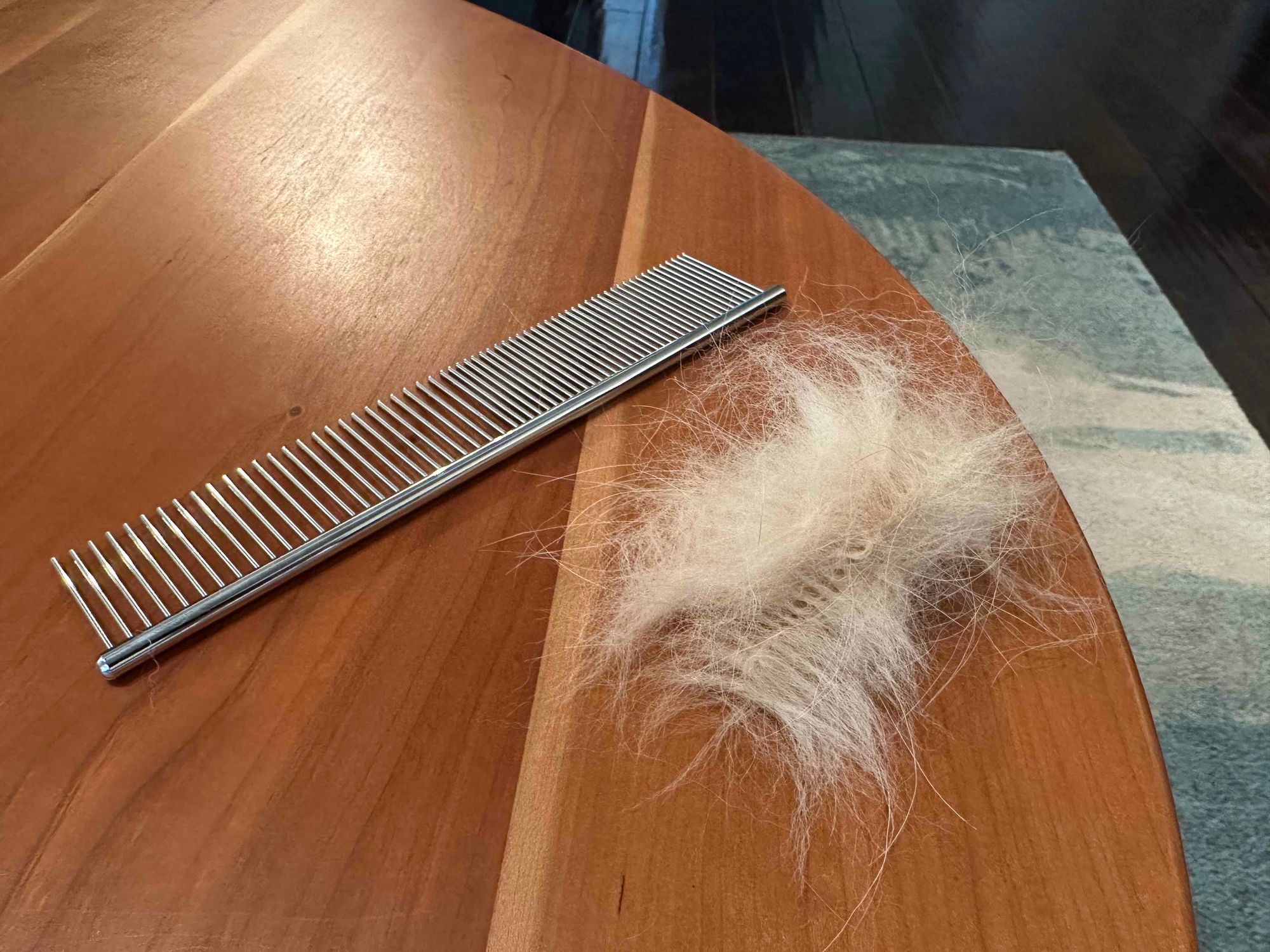 A stainless steel dog comb with lots of corgi hair.