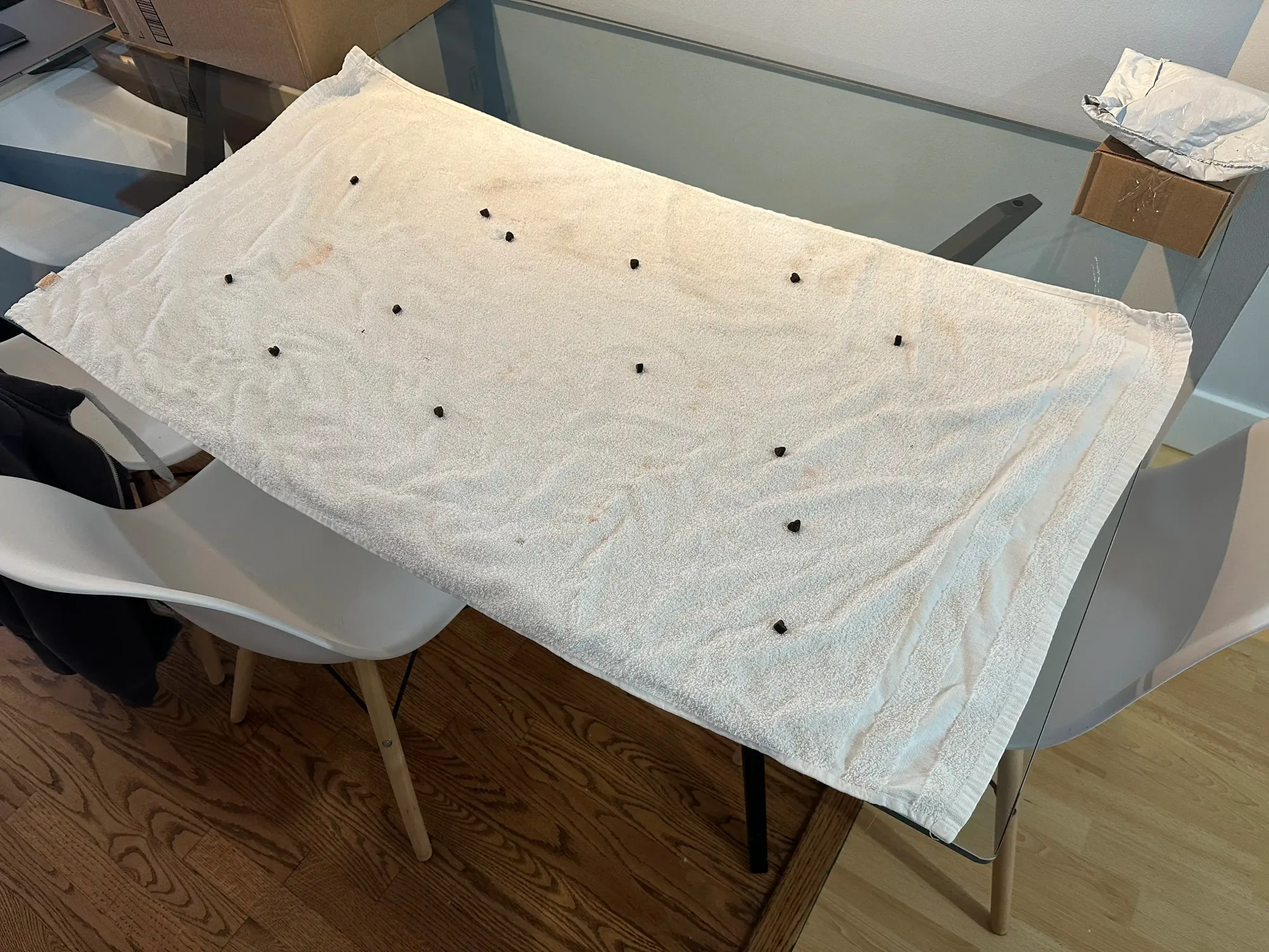 A flat white towel on a table. There are dog treats laid out randomly.