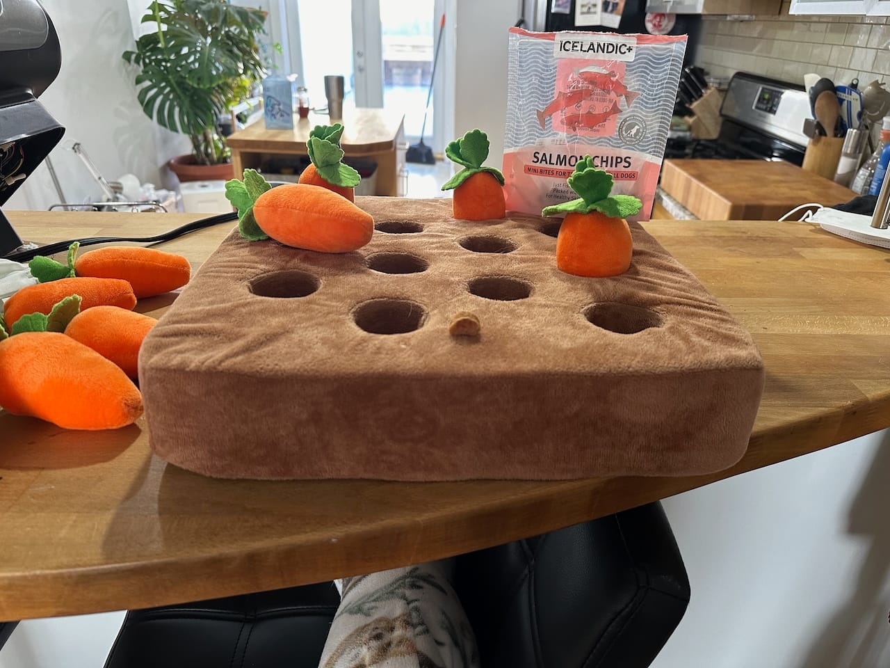 A dog training toy contains holes and removeable carrots. A bag of corgi training treats sits behind the puzzle, suggesting to put them in the carrot holes for the dog to find.