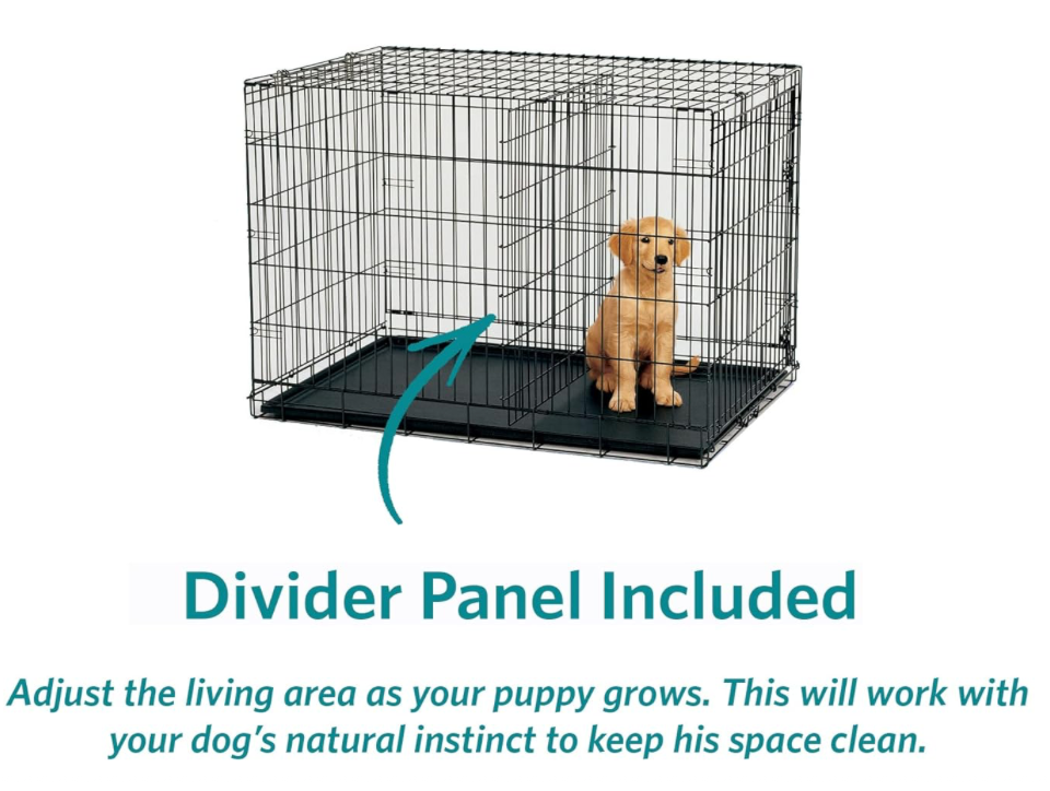 How big should a puppy crate be best sale