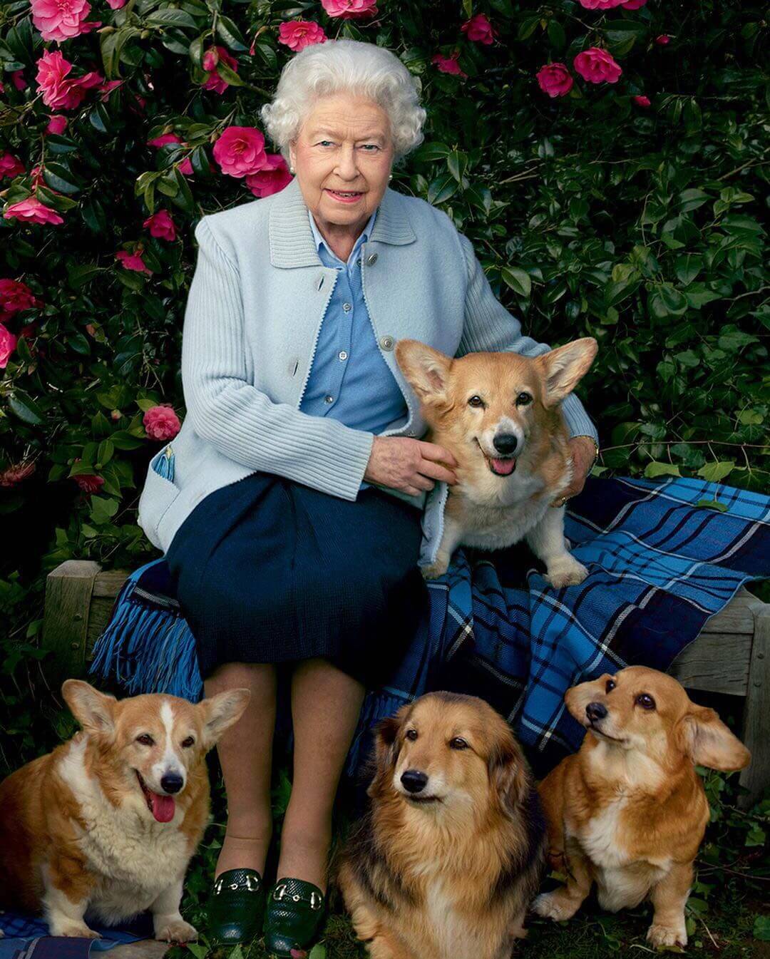 Queen Elizabeth and her corgis.